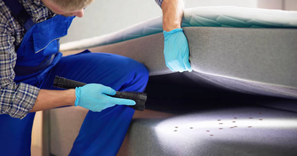 Professional Pest Control in Trail Creek, IN