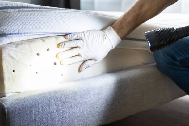 Best Mosquito Control Services  in Trail Creek, IN