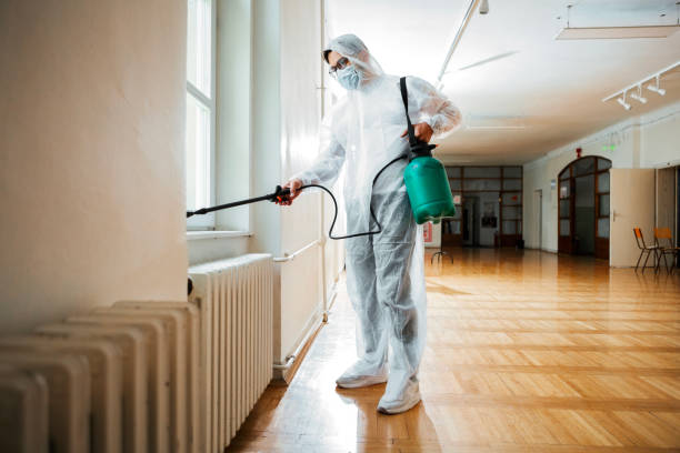 Best Termite Control Services  in Trail Creek, IN
