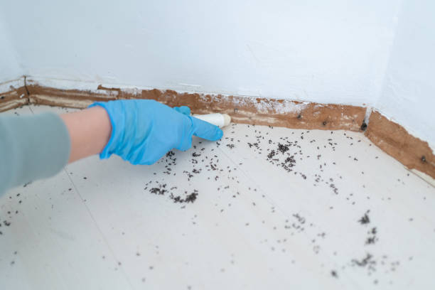 Best Pest Removal Services  in Trail Creek, IN