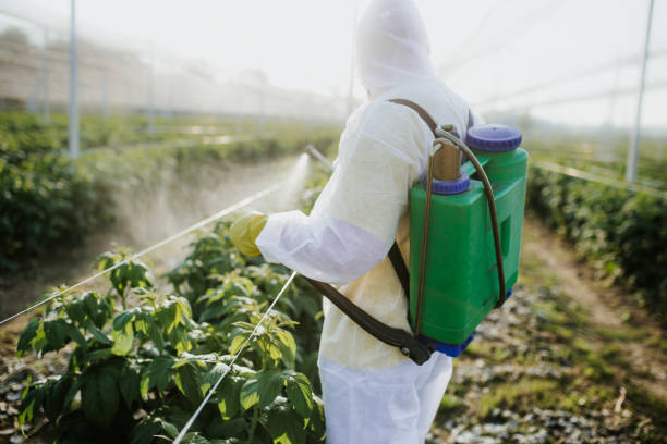 Best Emergency Pest Control  in Trail Creek, IN